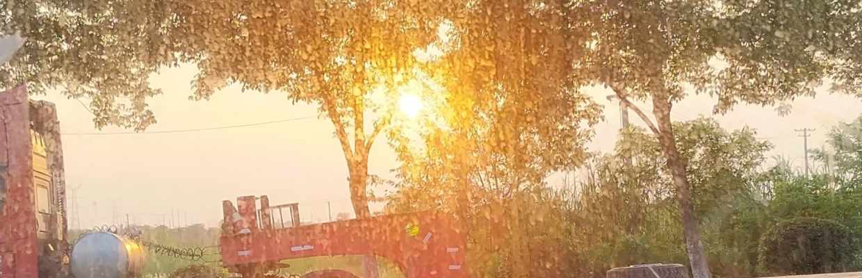 感恩圣雨