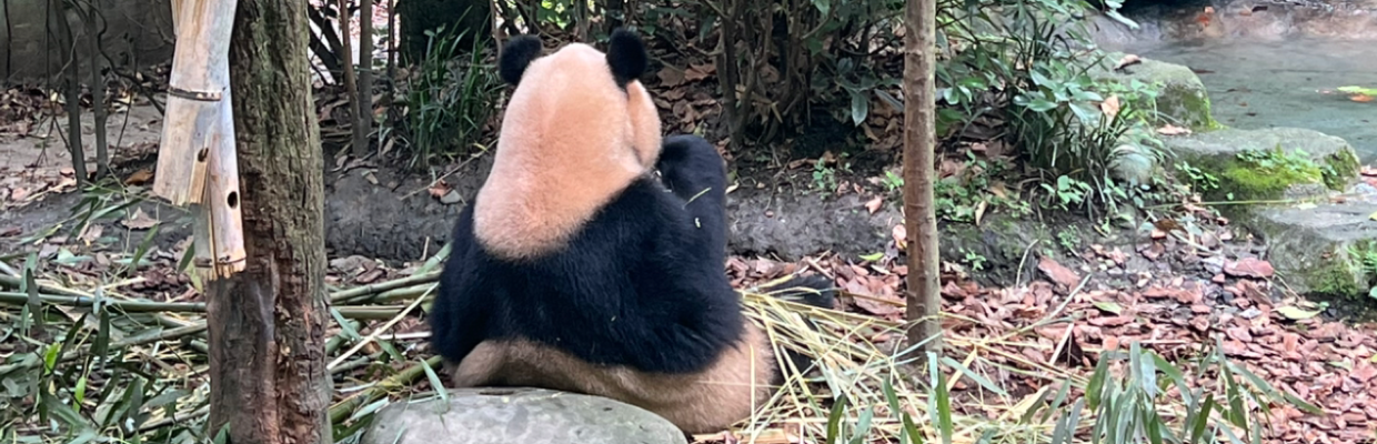 东升缘