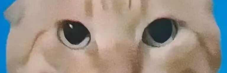 hujiaqi