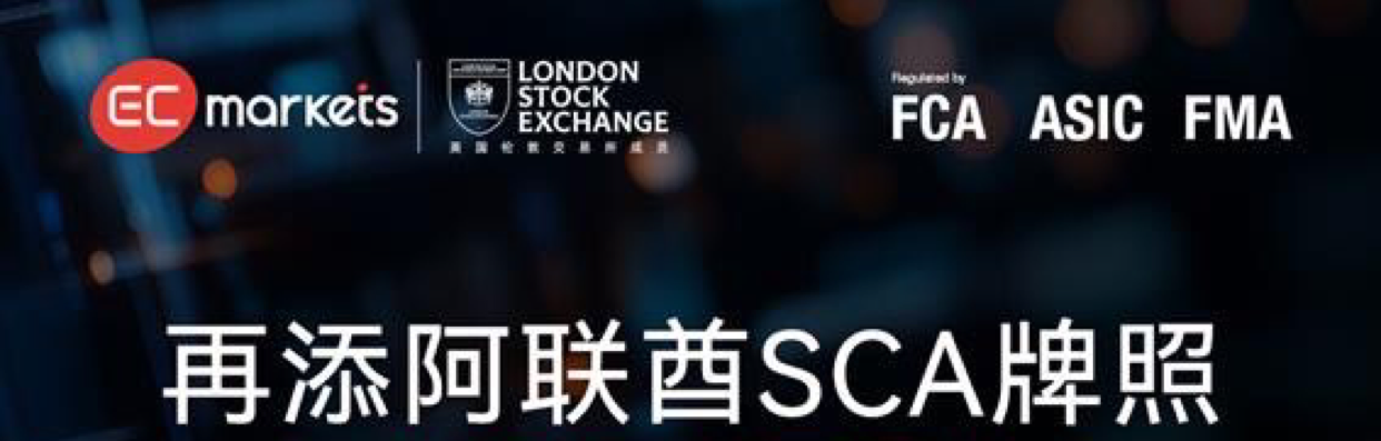 Ec量化之王