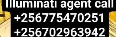 Total_Animal2144