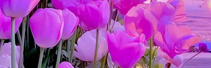 Gous  uddin