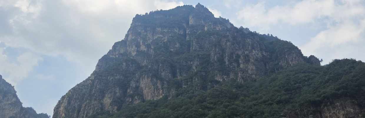 像风一样自由噢耶