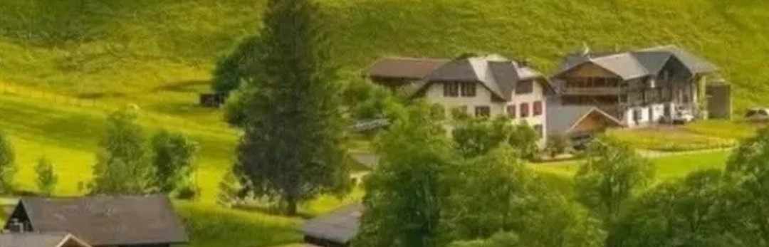 mahmoud_tolba_12300000000