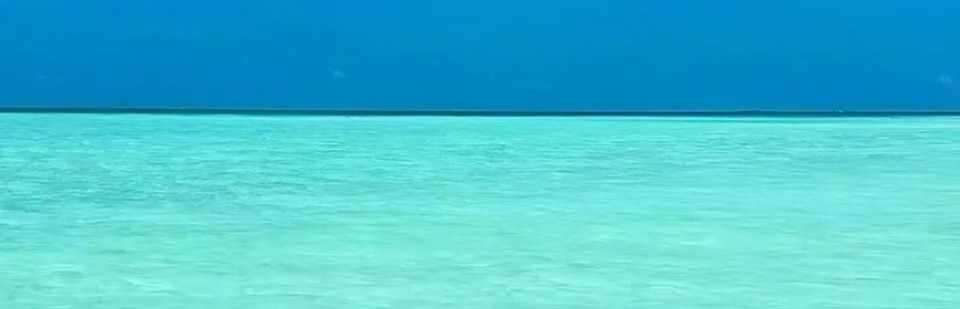 ACCM客户经理 Fengkuang