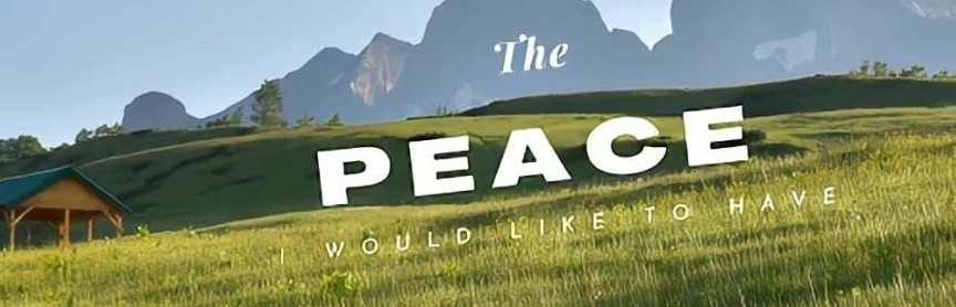 学习理财的小王同学