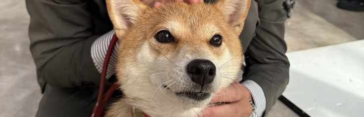 阿部亮平/Ryohei_Abe