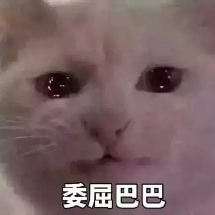 关注送口罩！包邮到家！