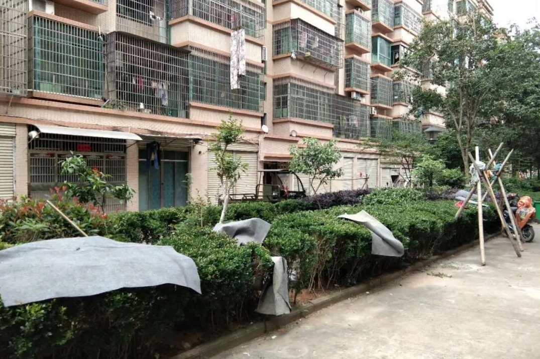 恕我直言,在买房这件事上,后浪们奔涌不起来