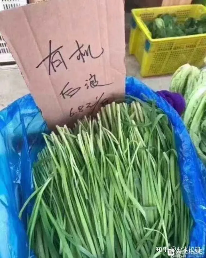 这一代后浪，是报复性消费还是报复性存钱