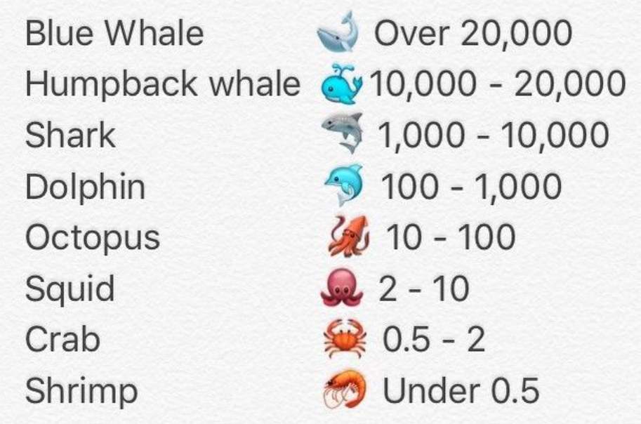 Differentiate Whale --- Shrimp??
