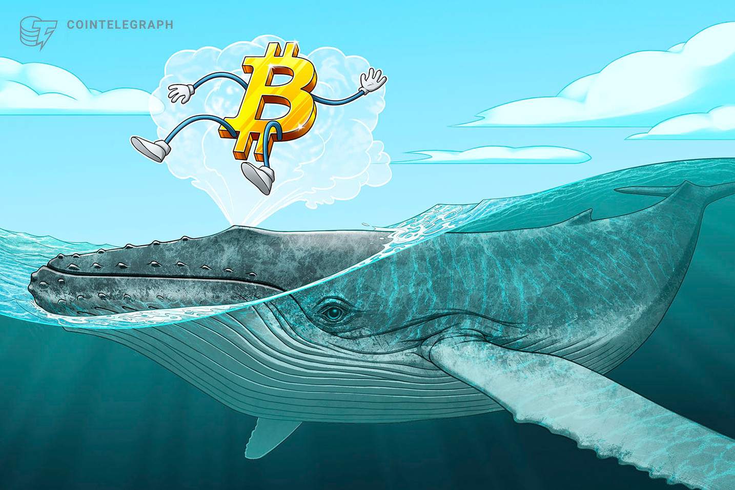 Whale Moves $1.3 Billion in Bitcoin… The Question Is Why?