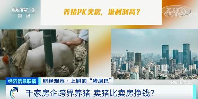 猪肉价格反弹！1头猪利润=2瓶茅台酒？