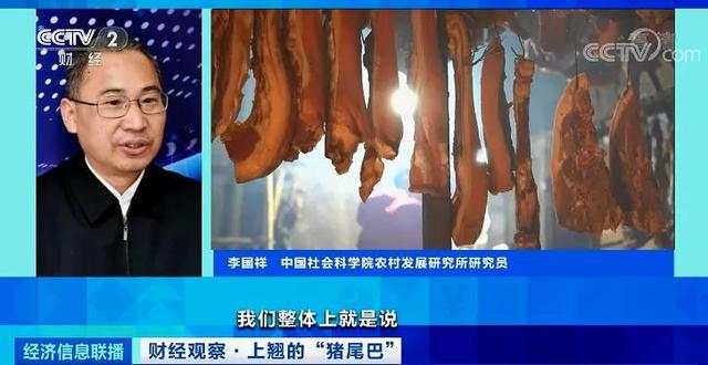 猪肉价格反弹!1头猪利润=2瓶茅台酒?