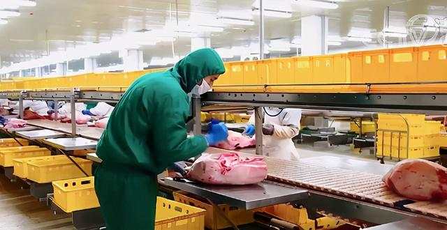 猪肉价格反弹！1头猪利润=2瓶茅台酒？
