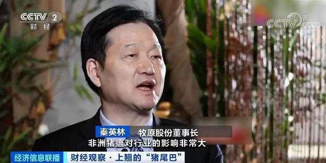 猪肉价格反弹！1头猪利润=2瓶茅台酒？
