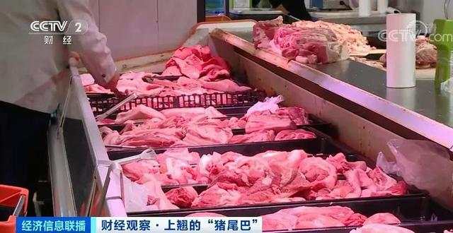 猪肉价格反弹！1头猪利润=2瓶茅台酒？