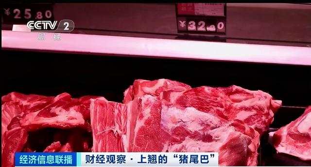 猪肉价格反弹！1头猪利润=2瓶茅台酒？