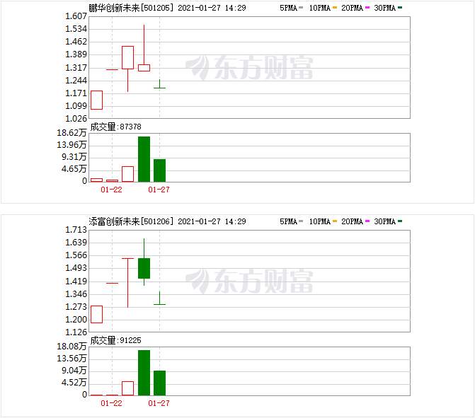 又是全部跌停！5只创新未来基金上演蹦极走势