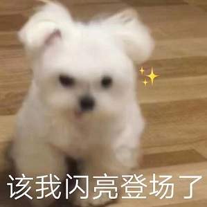 12月非农竞猜结果公布！@卫卫的卫卫 获得竞猜冠军！