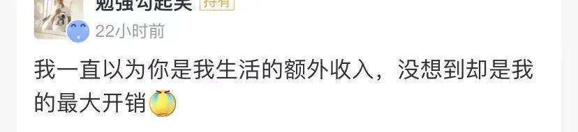 大家图个乐,支付宝基金评论区全都是文案段子手!