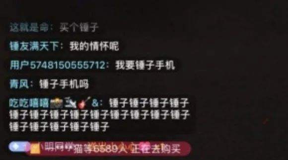 罗永浩给贾跃亭一锤子！