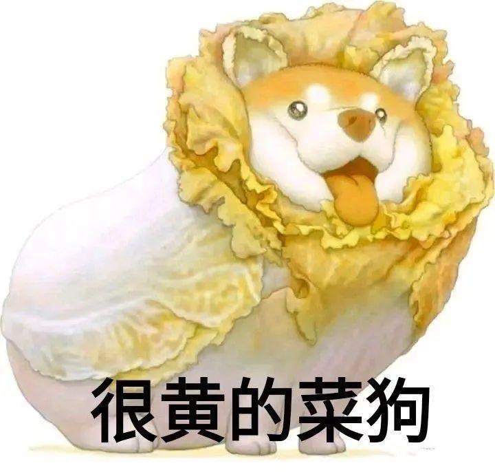 大家图个乐，支付宝基金评论区全都是文案段子手！