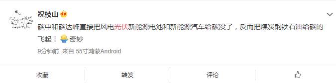 光伏板集体跳水，新能源离黑天鹅有多远？