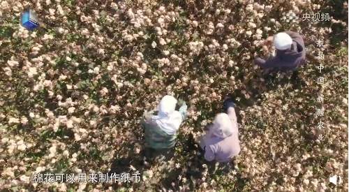 A股力挺新疆棉,李宁、安踏们飙涨!