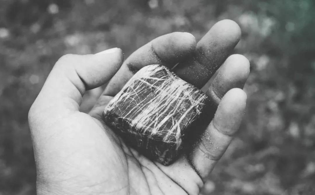 赵建：过度的债务和泡沫是诱发生态危机的主因之一