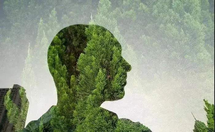 赵建：过度的债务和泡沫是诱发生态危机的主因之一