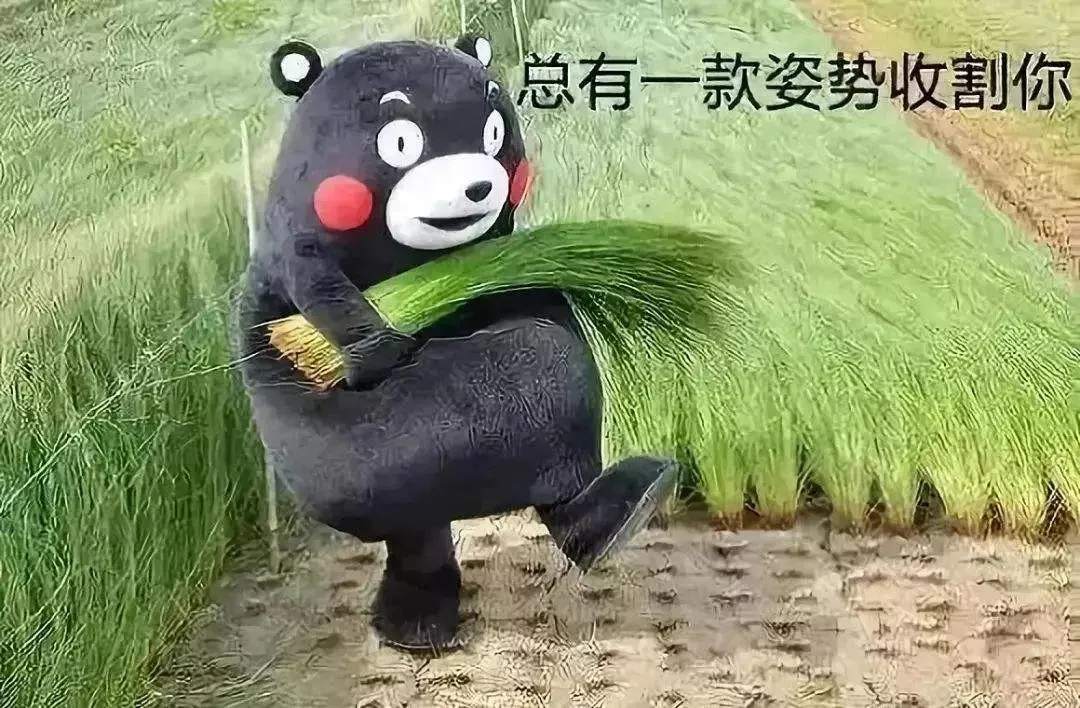 00后炒鞋狂欢:月入百万、获刑十年的资本骗局