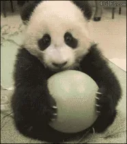 让交易员崩溃的 40 个瞬间！会做交易的人才能看懂