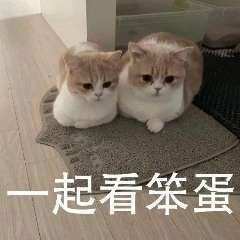 一周热点：狗狗币“上位”，特斯拉“下台”