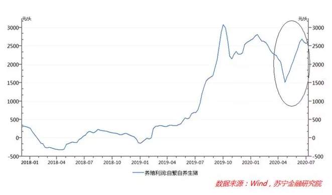 猪肉价格暴跌，而且还要继续跌