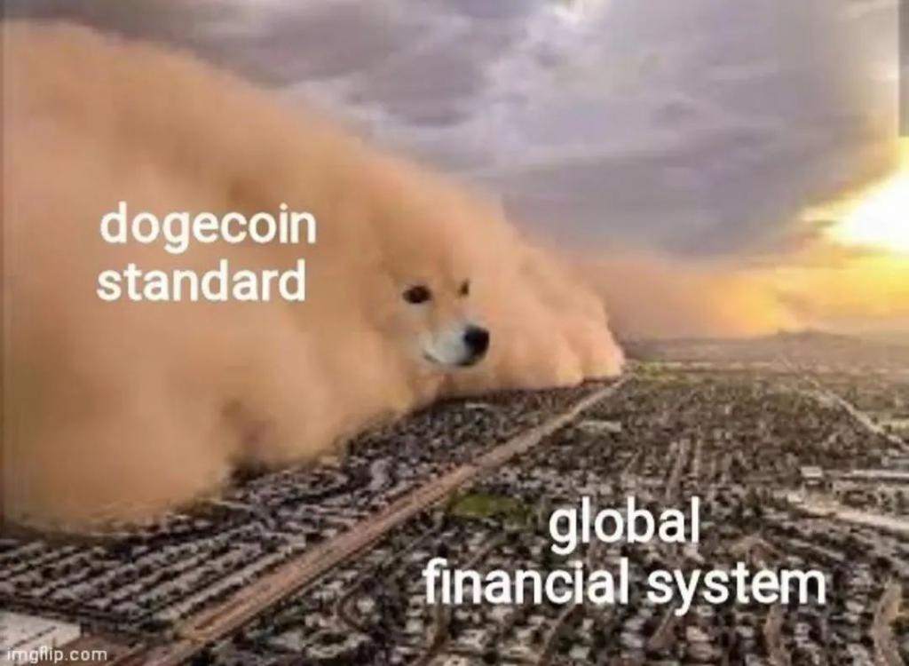 一夜暴跌，全网炒疯的狗狗币是一场笑话？