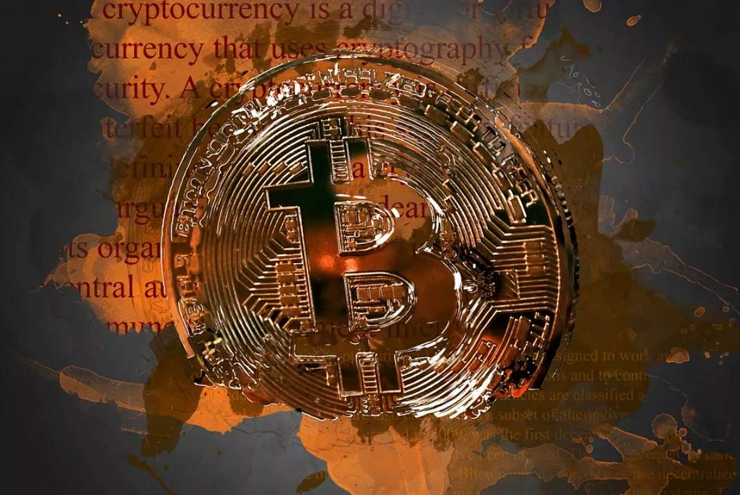 金融圈在被比特币啪啪打脸,而我们在被狗狗币啪啪打脸