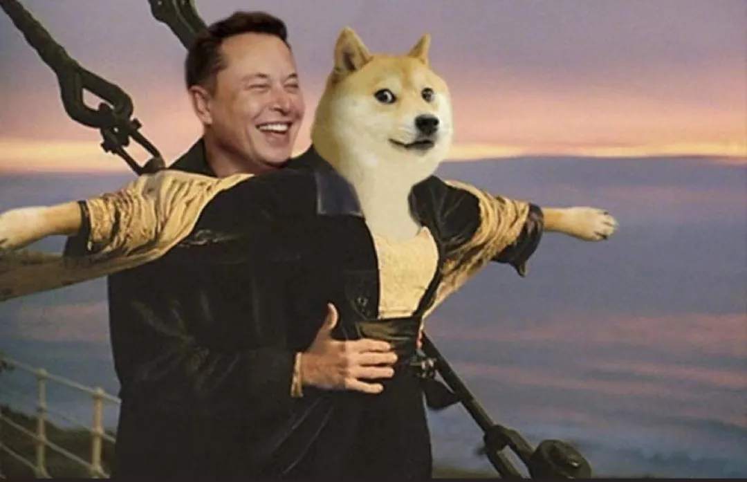 金融圈在被比特币啪啪打脸,而我们在被狗狗币啪啪打脸
