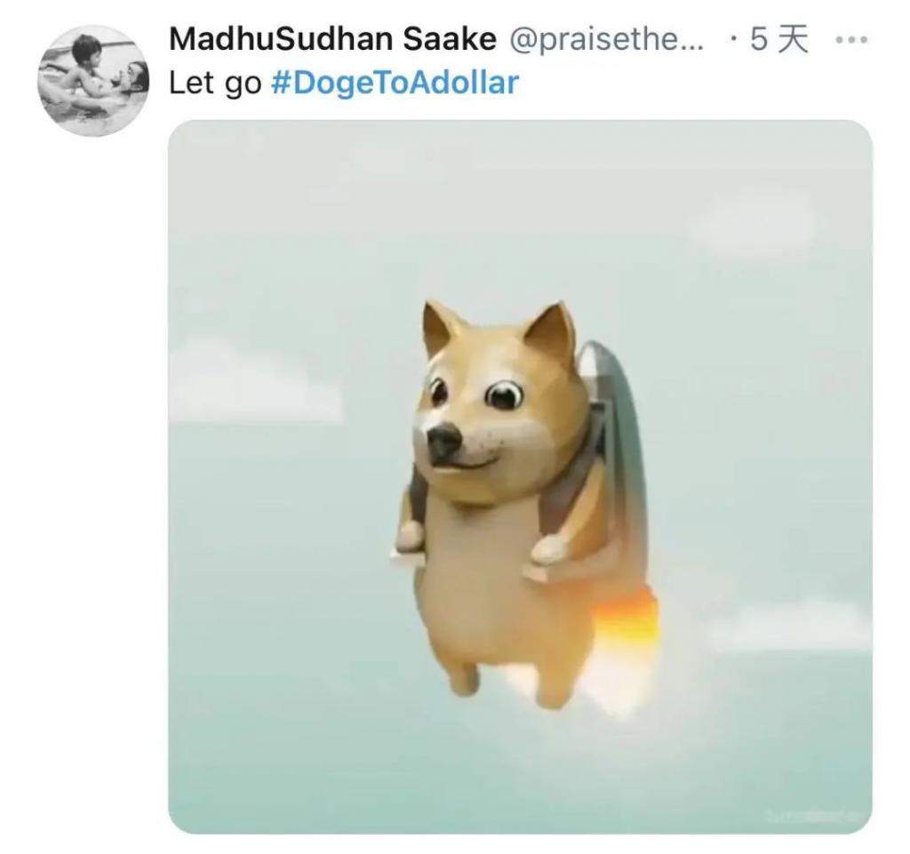 一夜暴跌，全网炒疯的狗狗币是一场笑话？