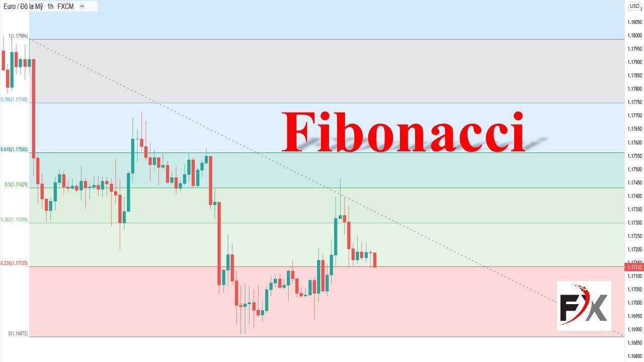 Chỉ báo Fibonacci là gì? Cách giao dịch theo Fibonacci hiệu quả nhất