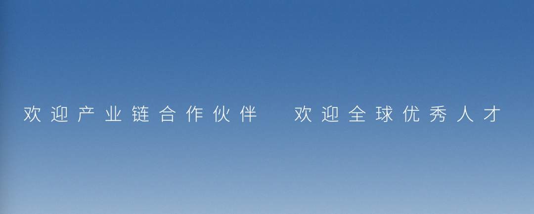 除了牛，蔚来与合肥的500亿豪赌，你还需要知道什么？