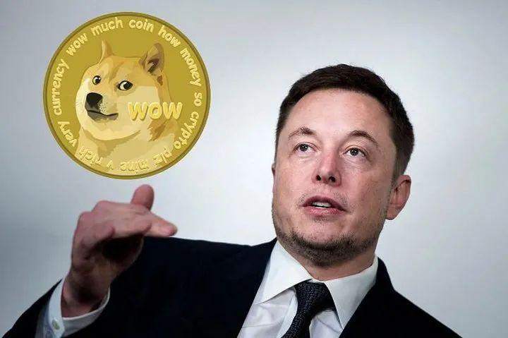 暴涨暴跌的狗狗币，折射出魔怔般的马斯克崇拜