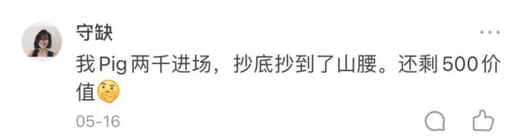 最高位“梭哈”了猪猪币,一夜之间资产清零