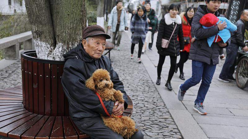 日益减少的劳动人口，如何供养最大规模的老年人口？