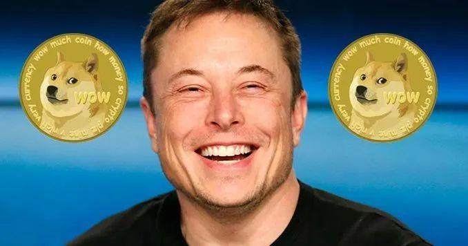 暴涨暴跌的狗狗币，折射出魔怔般的马斯克崇拜