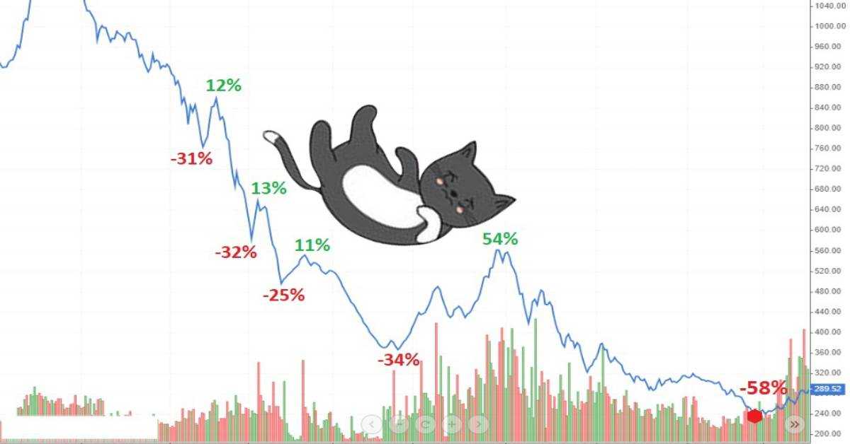 Cứu Tài Khoản Forex dựa vào mô hình giá Dead Cat Bounce