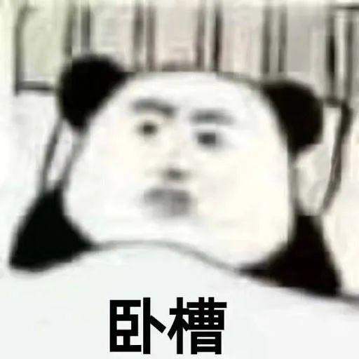每一个用花呗的人，都逃不开重庆