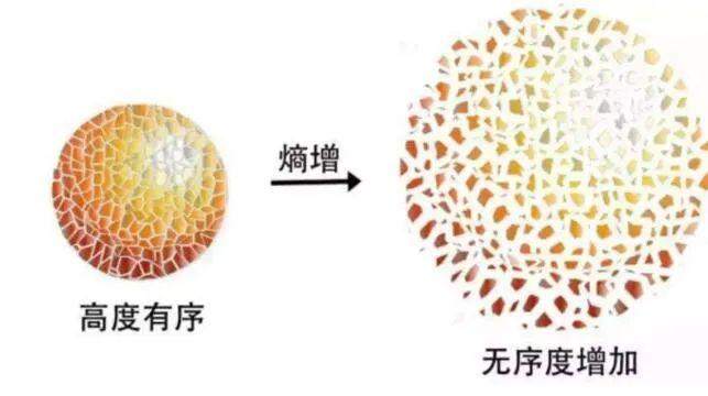 全民造车，你得上车