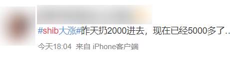 空气币30天暴涨百倍？我真的服了币圈了