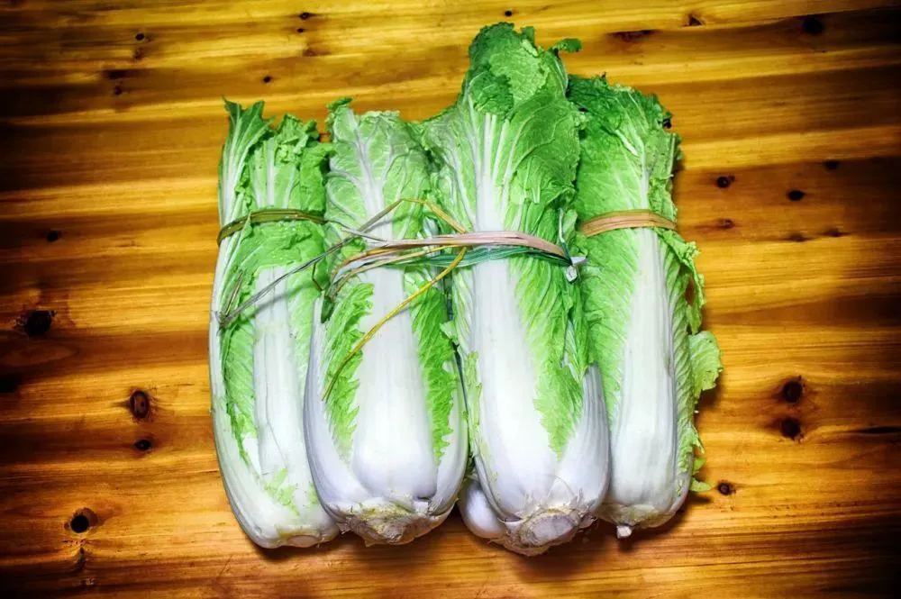 社区团购围剿下,600 万“夫妻店”何去何从?